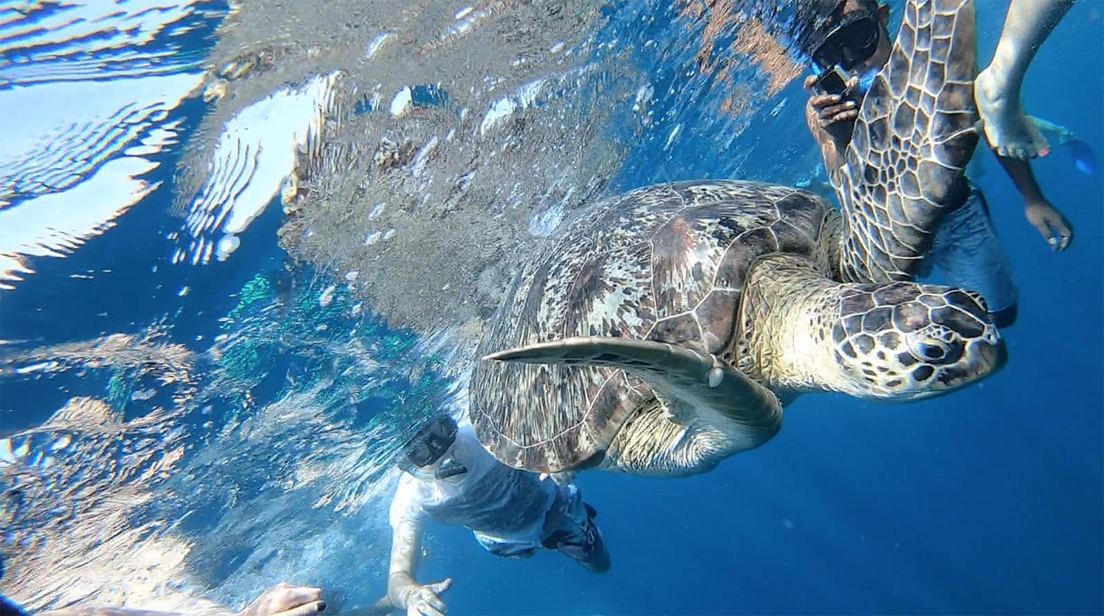 Capture d’écran 2018 07 16 à 12.51.54 - 5 jours à Gili Trawangan : notre avis et nos conseils