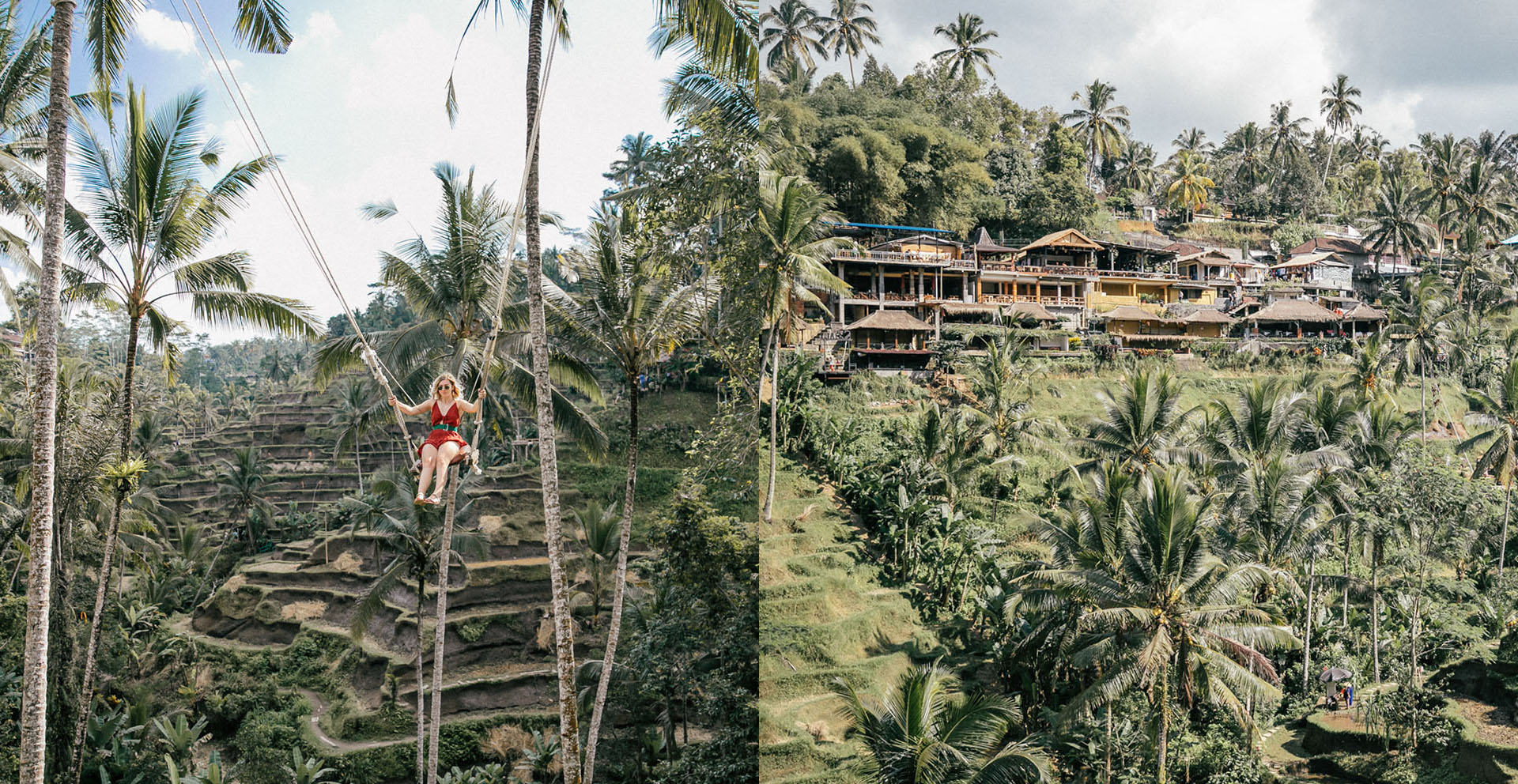 palmiers - Voyage à Bali : Itinéraire, activités et hôtels