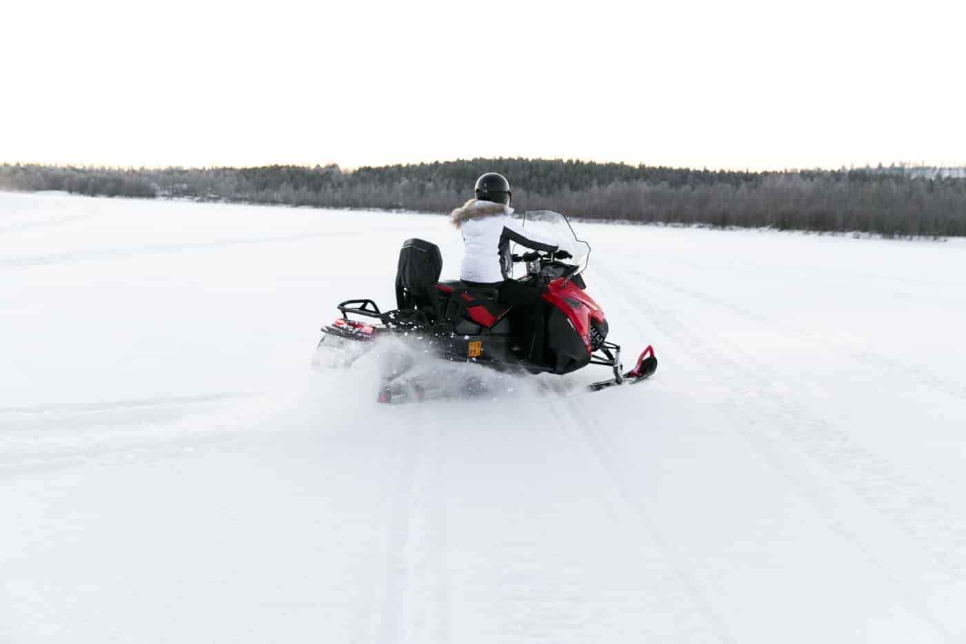 activités à faire laponie