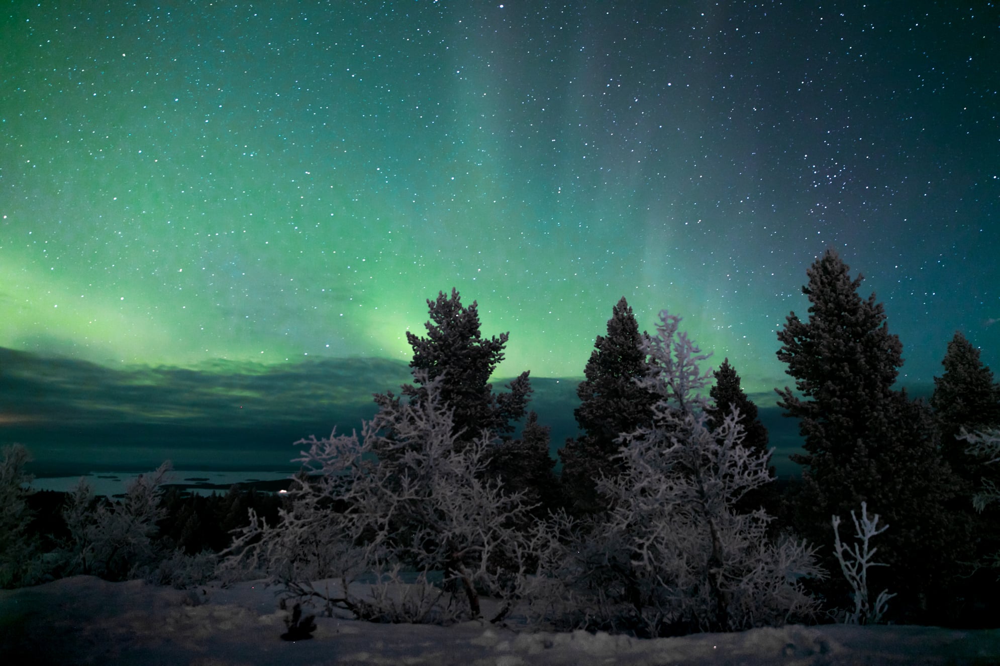 ID5A5769 2 - Récap de notre voyage en Laponie Finlandaise