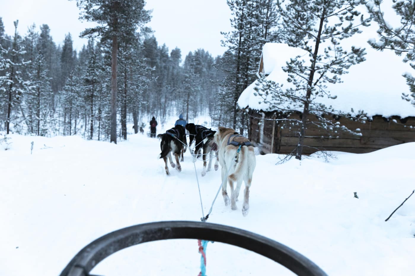 ID5A5814 - Récap de notre voyage en Laponie Finlandaise