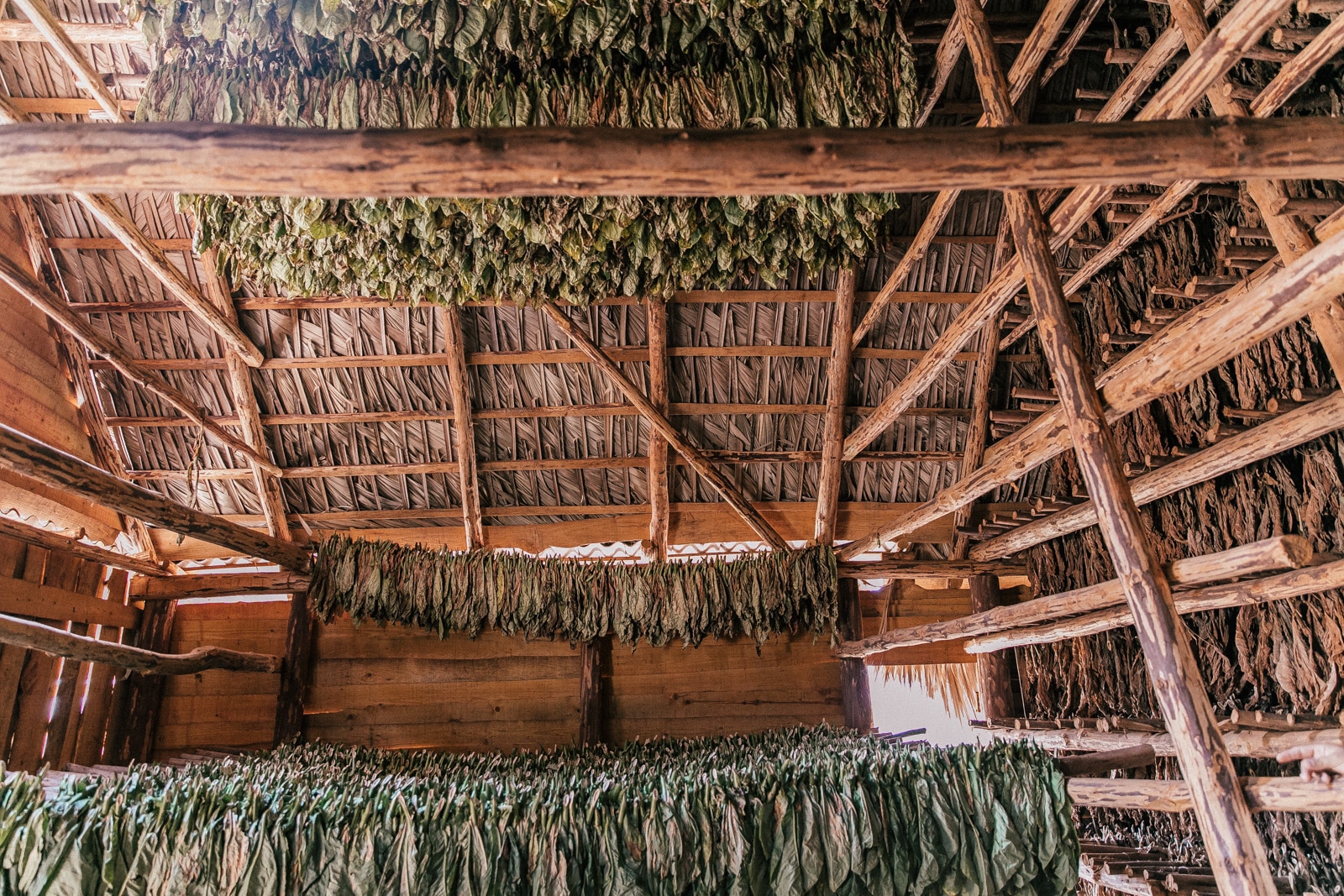 que faire à vinales