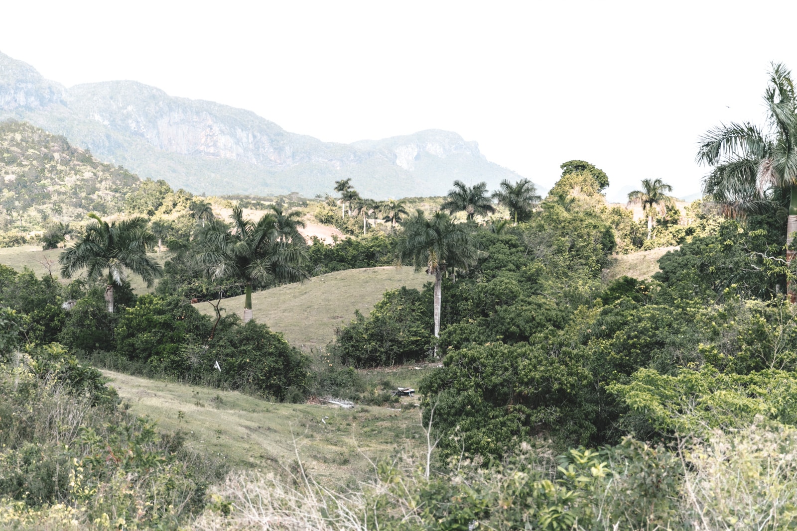 que faire à vinales