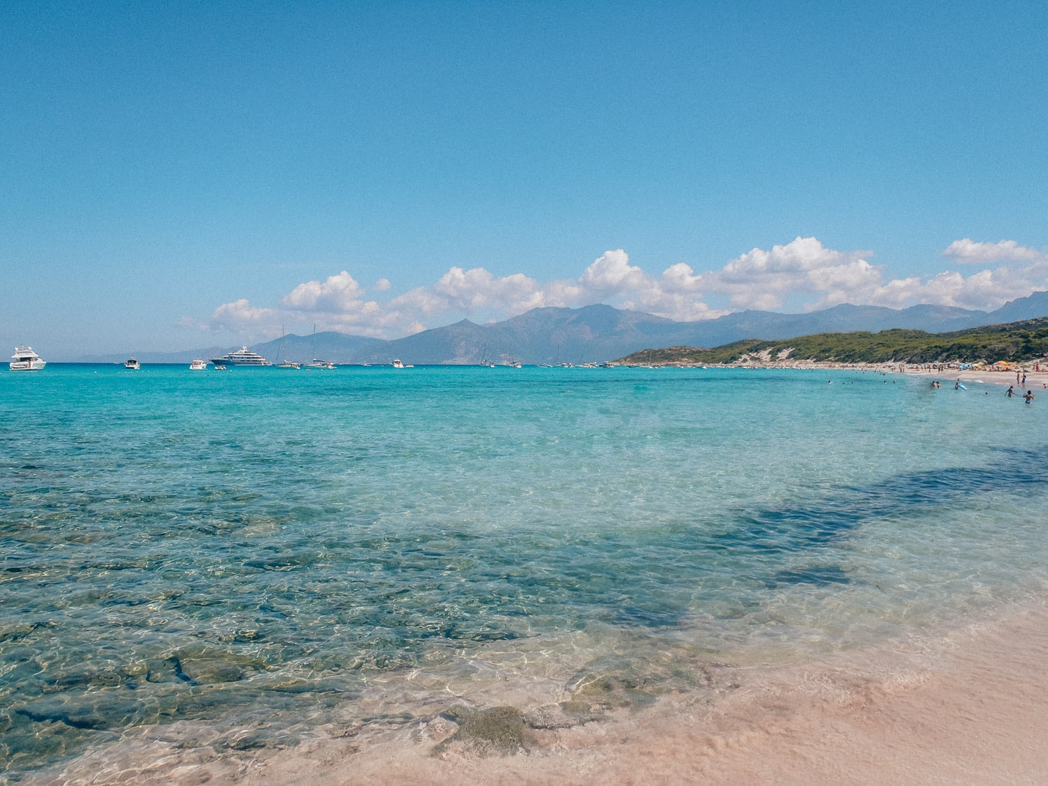 plage saleccia corse