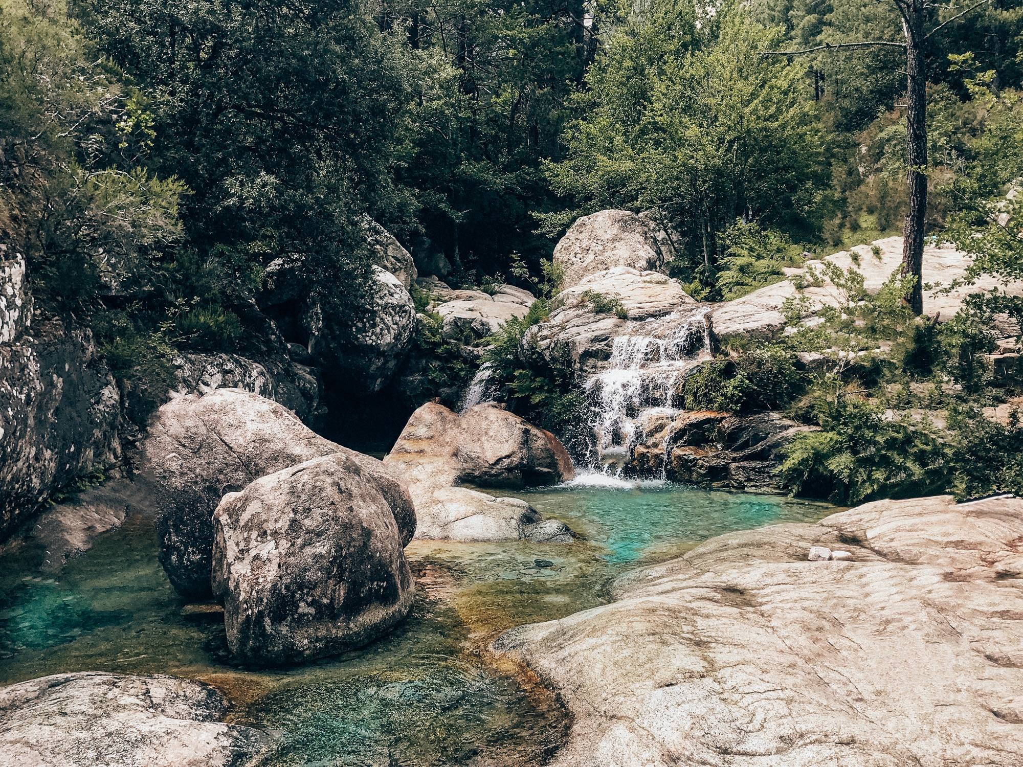 Facetune 14 08 2019 08 27 00 - Corse du sud : Mes conseils, choses à voir, adresses...