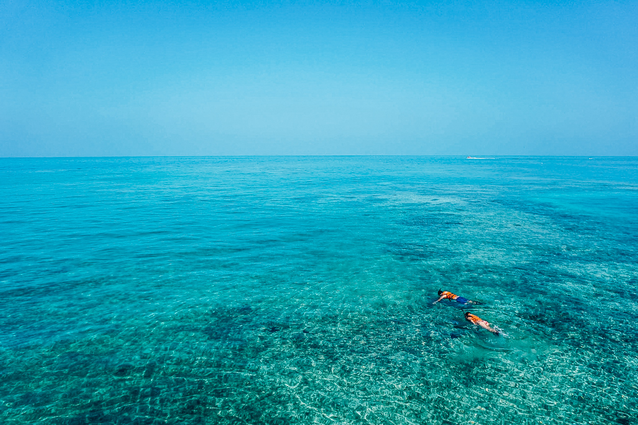 snorkeling corse