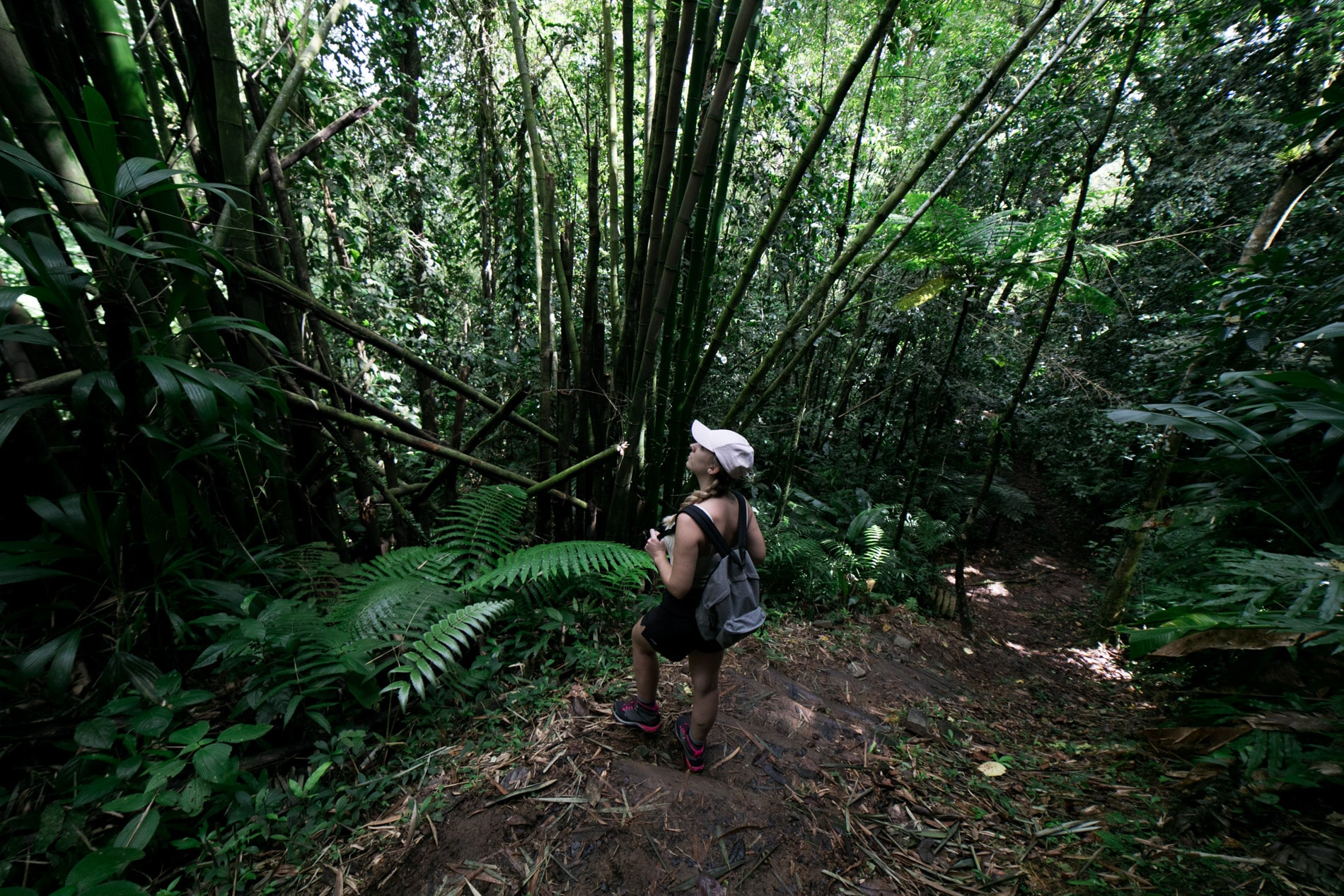 ID5A2115 - Le TOP 15 des activités à faire en Martinique