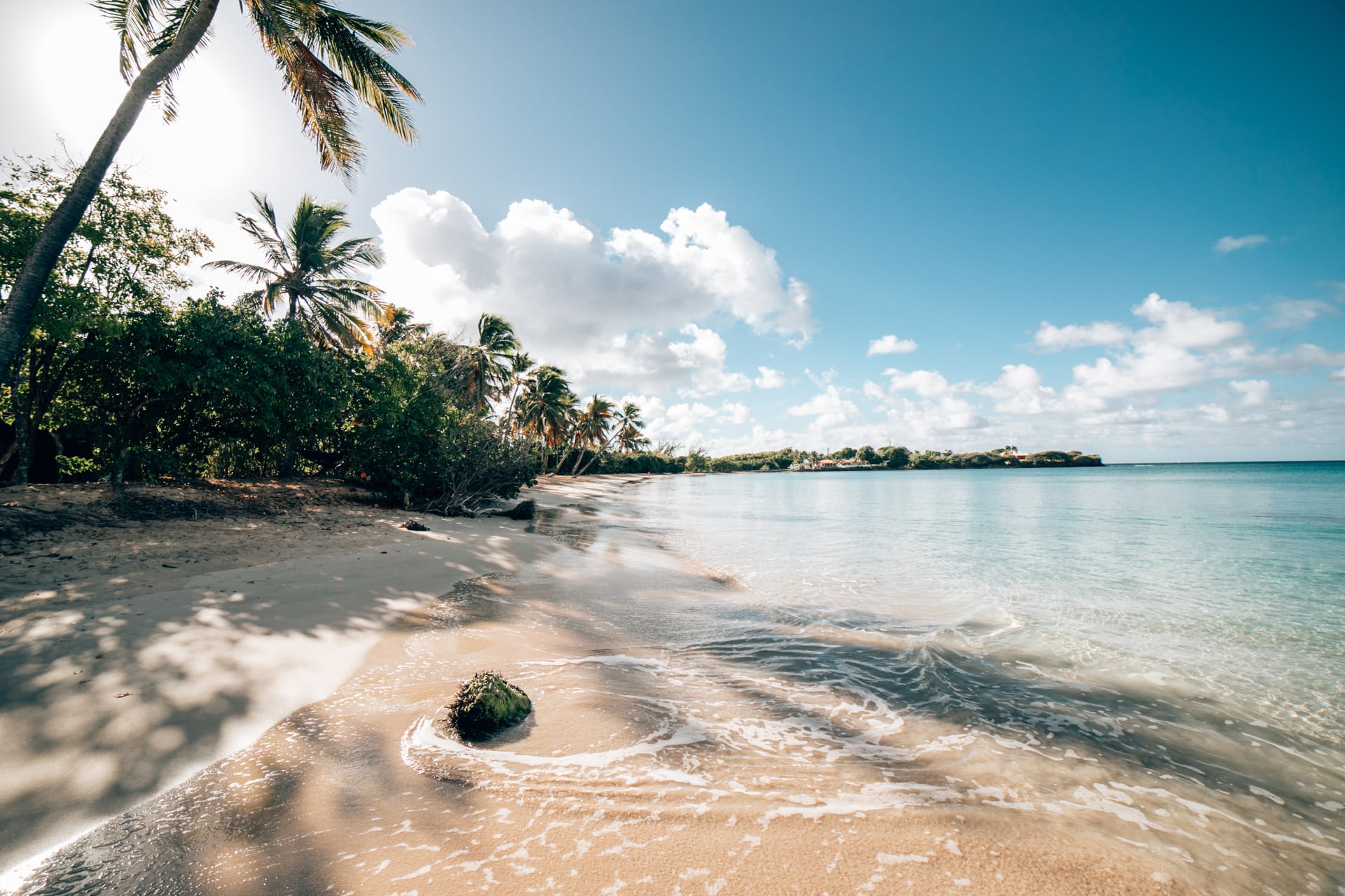 ID5A2668 - Voyage en Martinique : Itinéraire et conseils