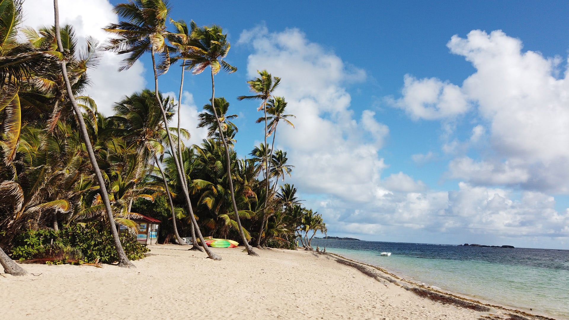 anse michel - Voyage en Martinique : Itinéraire et conseils